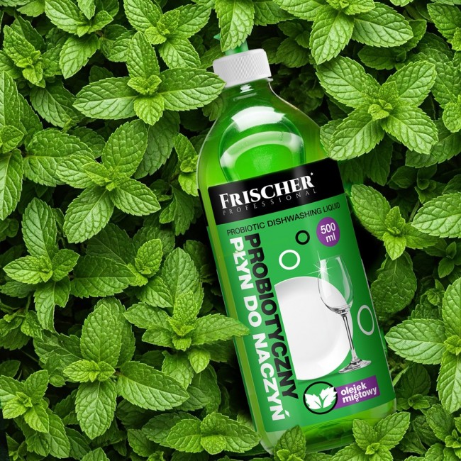 Frischer dishwashing liquid with peppermint oil, 500 ml