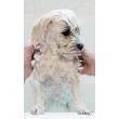 DR LUCY Home 1 long coat - shampoo for dogs - 250 ml DR LUCY Home 1 long coat - shampoo for dogs - 250 ml