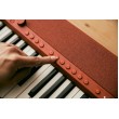 Casio CT-S1 Digital synthesizer 61 Red Casio CT-S1 Digital synthesizer 61 Red
