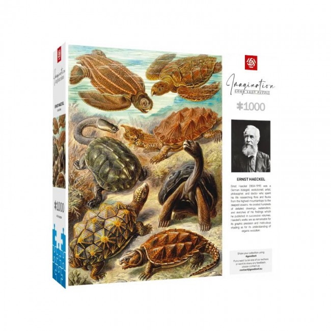 Puzzle Good Loot Imagination - Ernst Haeckel: Sea Turtles 1000 pc(s) Puzzle Good Loot Imagination - Ernst Haeckel: Sea Turtles 1000 pc(s)