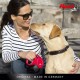 Flexi New Classic Dog Retractable lead 5 m Flexi New Classic Dog Retractable lead 5 m