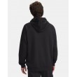 Under Armour Trainingshoddie Herren Hoodie