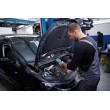 Bosch GTC 600 C Noise equivalent temperature difference (NETD) IR Black, Blue 256 x 192 pixels Built-in display LCD