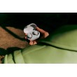 Bose 888507-0200 headphones/headset True Wireless Stereo (TWS) Head-band Bluetooth White