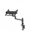 Neomounts DS20-425BL1 Laptop holder monitor arm 11.6-17.3