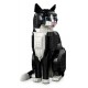 LEGO IDEAS 21349 Tuxedo Cat LEGO IDEAS 21349 Tuxedo Cat