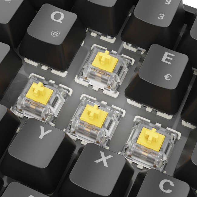 Sharkoon 100065629 keyboard Home USB QWERTZ German Black Sharkoon 100065629 keyboard Home USB QWERTZ German Black