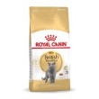 Royal Canin British Shorthair Adult cats dry food 4 kg Royal Canin British Shorthair Adult cats dry food 4 kg