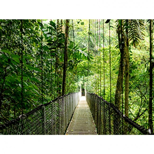 HP EliteBook 6 G1i Ultra 5 225U 14.0