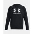 Under Armour Trainingshoddie Herren Hoodie