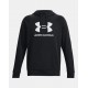 Under Armour Trainingshoddie Herren Hoodie
