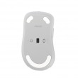 ASUS Wireless MD102 mouse Universal Right-hand RF Wireless + Bluetooth Optical 1600 DPI