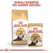 Royal Canin Persian cats dry food 4 kg Adult Maize, Poultry