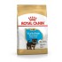 ROYAL CANIN Yorkshire Terrier Puppy - dry dog food - 7,5 kg