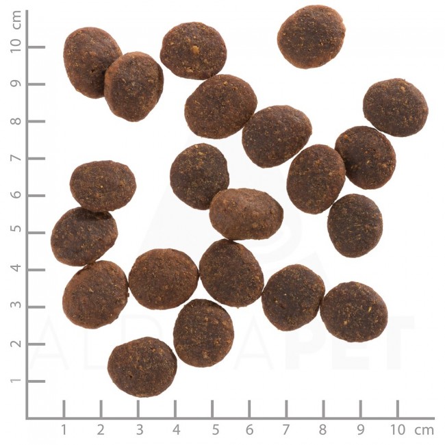 WOLFSBLUT Black Marsh Water buffalo - dry dog food - 12,5kg WOLFSBLUT Black Marsh Water buffalo - dry dog food - 12,5kg