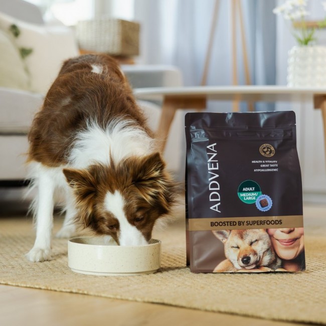 ADDVENA Boosted by superfoods Adult Medium/Large Beef - dry dog food - 2,5kg