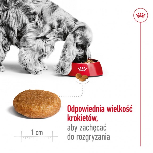ROYAL CANIN Adult Medium - dry dog food - 4kg