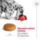 ROYAL CANIN Adult Medium - dry dog food - 4kg