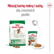 ROYAL CANIN Adult Mini S - dry dog food - 4kg
