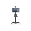 Digitus | Floor stand | TV-Cart for screens up to 70