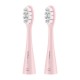 Niceboy SONICPINK toothbrush head 2 pc(s) Pink