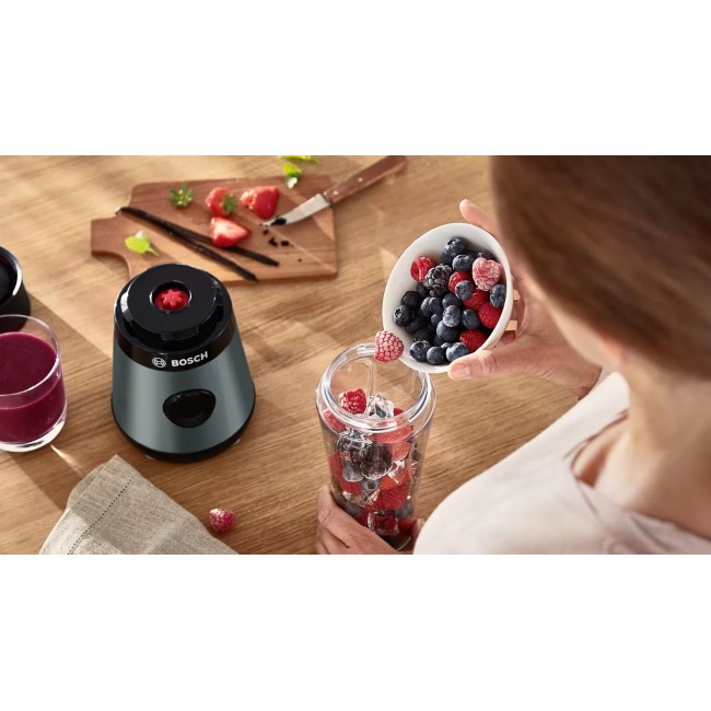Bosch VitaPower MMB2111S blender 0.6 L Tabletop blender 450 W Silver