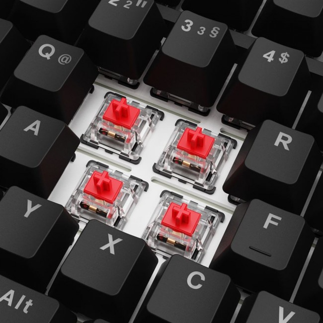 Sharkoon SGK25 keyboard Home USB QWERTZ German Black