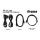 iiyama ProLite 27 QHD IPS technology panel with USB hub and 100Hz refresh rate and 150mm height adjustable stand