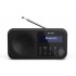 Sharp DR-P420 Portable Digital Black