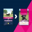 EUKANUBA Puppy L XL Rich in chicken - dry dog food - 15kg EUKANUBA Puppy L XL Rich in chicken - dry dog food - 15kg