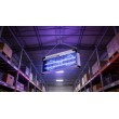N'OVEEN IKN240 Economic Insecticide lamp