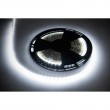 sznur diodowy 25m Rebel (1500x5050 SMD) zimny bia y, 12V
