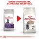 Royal Canin Senior Ageing Sterilised 12+ cats dry food 4 kg Corn, Poultry, Vegetable Royal Canin Senior Ageing Sterilised 12+ cats dry food 4 kg Corn, Poultry, Vegetable