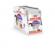 ROYAL CANIN FHN Sterilised in sauce - wet food for adult cats - 12x85g