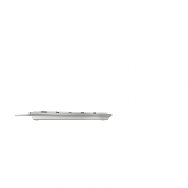 CHERRY KC 6000C FOR MAC keyboard Universal USB QWERTZ German Silver