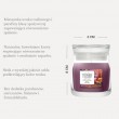 Scented Candle YANKEE CANDLE AUTUMN DAYDREAM 110 g small