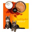 3COTY Chicken with krill For kittens - wet cat food - 80g