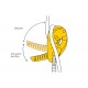 Petzl D020AA00 climbing belay device