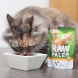 VETEXPERT Raw Paleo Adult Cat Turkey - wet cat food - 100 g