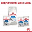ROYAL CANIN FHN Indoor jelly - wet food for adult cats - 12x85g