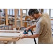 Bosch GEX 12V-125 Professional Bosch GEX 12V-125 Professional
