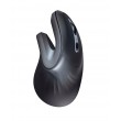 Trust Verro mouse Office Right-hand RF Wireless Optical 1600 DPI