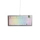 Glorious Gaming GMMK 3 PRO 75% Prebuilt Wired Silver - US Glorious Gaming GMMK 3 PRO 75% Prebuilt Wired Silver - US