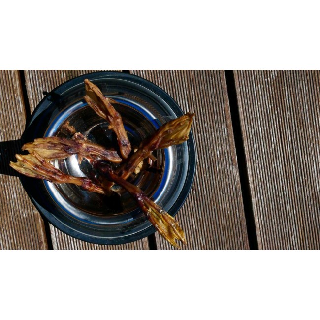 BULT Duck feet - dog treat - 100g