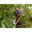 Black & Decker BEHTS401-QS power hedge trimmer Black & Decker BEHTS401-QS power hedge trimmer