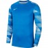 Nike Dry Park IV JSY LS GK Men's Goalkeeper Sweatshirt blue CJ6066 463 L