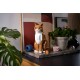 LEGO IDEAS 21376 Orange Cat