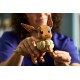 LEGO POK MON 72151 Eevee LEGO POK MON 72151 Eevee