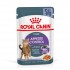 ROYAL CANIN Appetit Control pieces in sauce - wet cat food - 12 x 85g