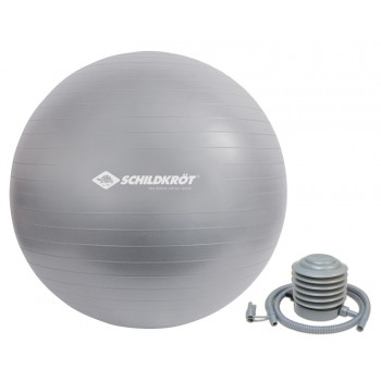 Schildkr t Fitness 960155 exercise ball 55 cm Grey Full-size